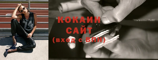 спайс Няндома