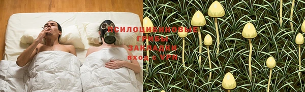 твердый Дмитров