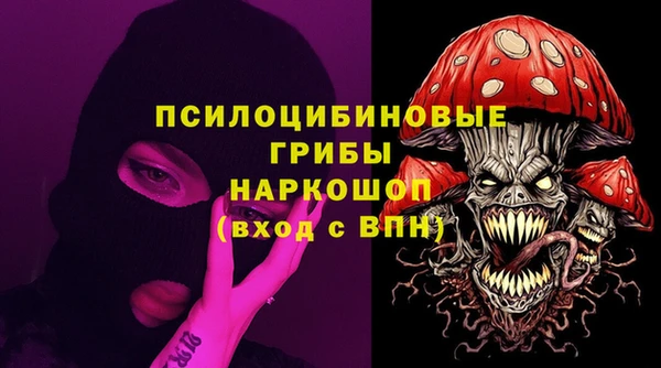спайс Няндома