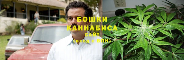 твердый Дмитров