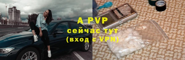 твердый Дмитров