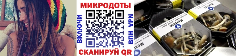 Галлюциногенные грибы ЛСД  даркнет сайт  Калач 